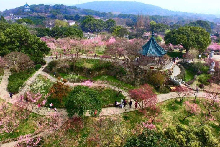 江苏一处赏花好地无锡梅园四季风景皆不同