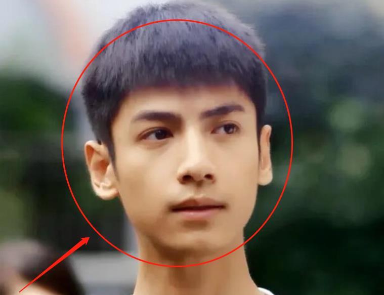罗云熙十年前证件照曝光看清无美颜的颜值是否整容很显然