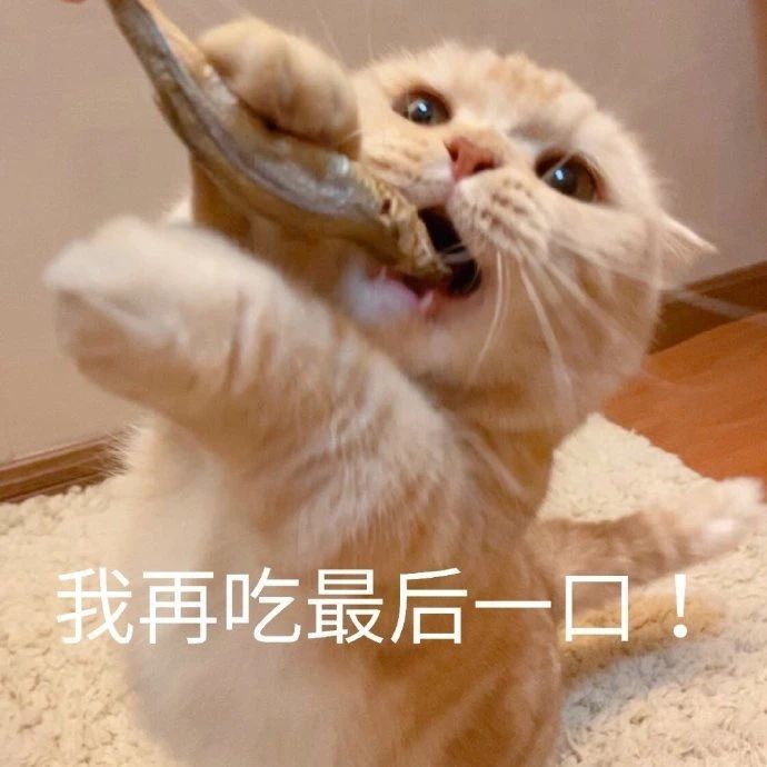 沙雕表情包 我再吃最后一口