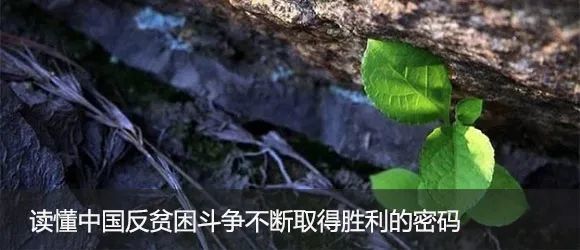 江苏集体经济总量_江苏地图(2)