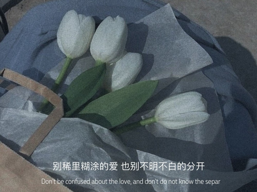 偶尔的消极颓废比得过众人的安慰