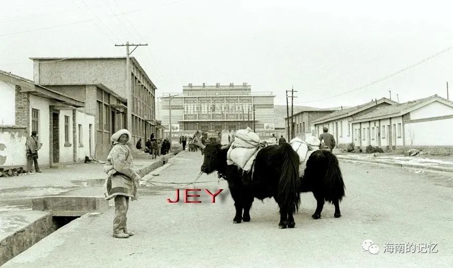 80年代的青海藏区记得转发