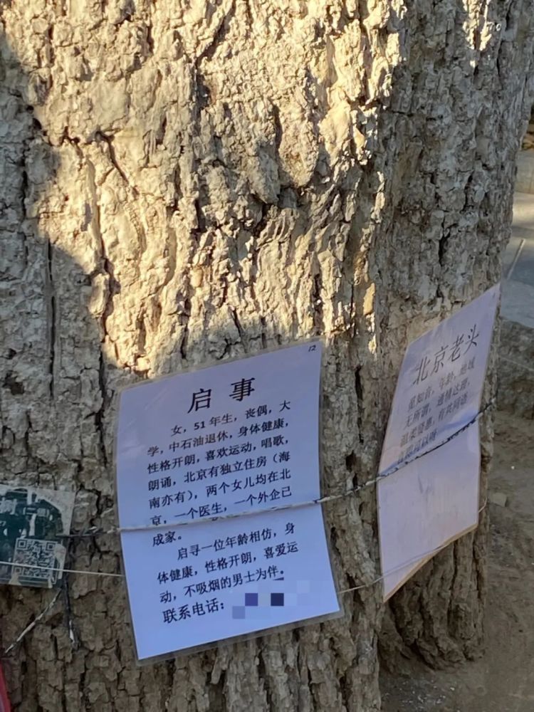 捆在树干上的征婚启事