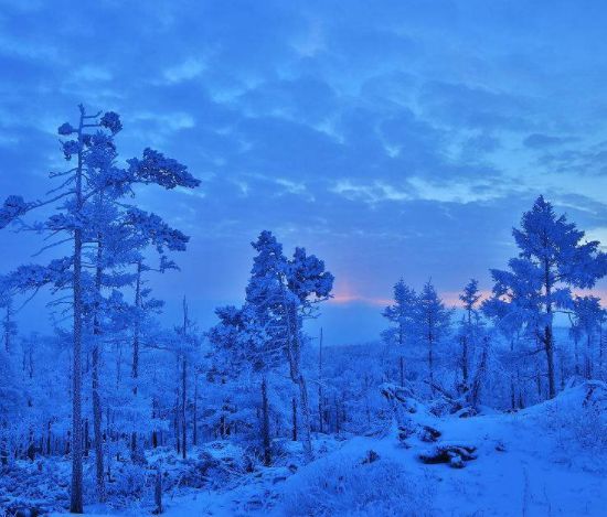 在大兴安岭听雪