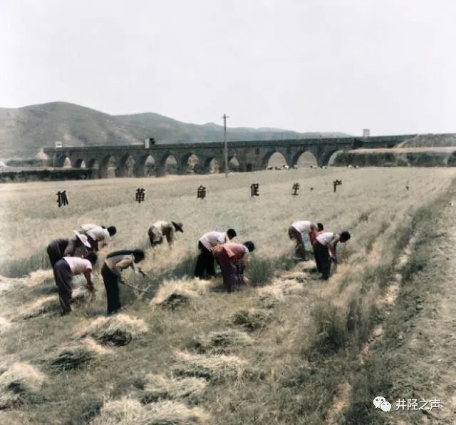 井陉老照片:60-70年代的石家庄井陉矿区,农业学大寨影像