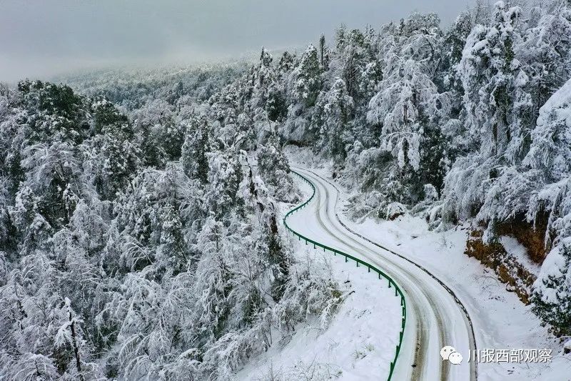 冬至!又一大波雅安雪景来袭