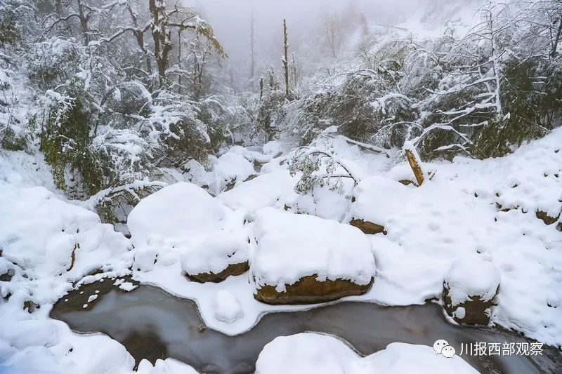 冬至!又一大波雅安雪景来袭