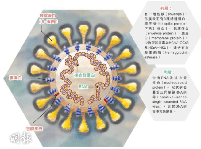 南非新冠病毒变异这回部分新冠疫苗恐怕防不住