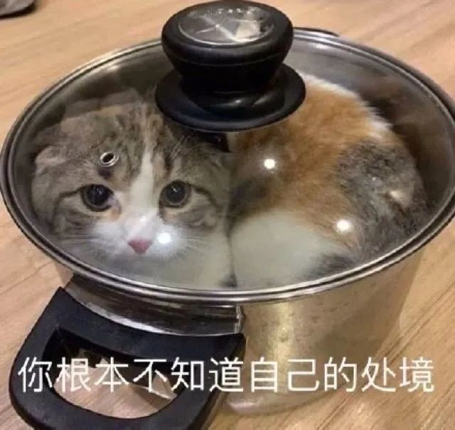 记得好好吃饭