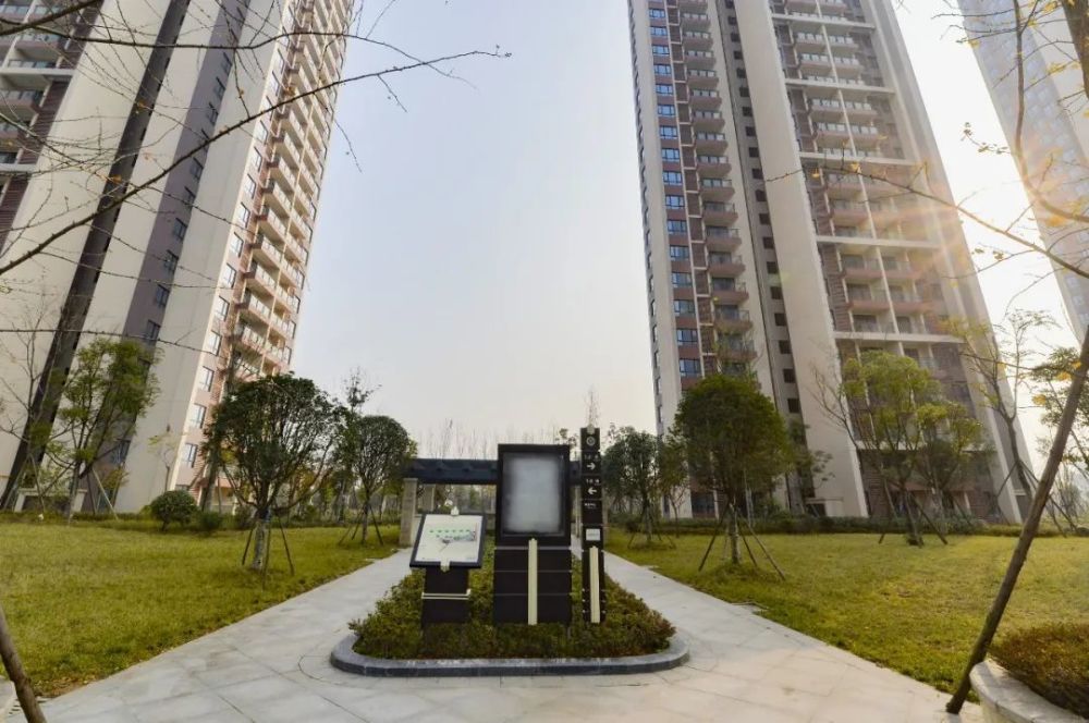 成华住建交|冬至时分,喜悦相伴,丛树家园安置小区分房