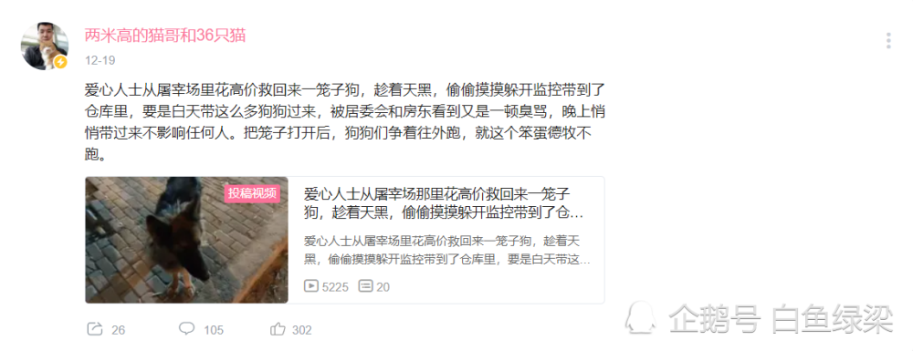 言语之中又是极端爱狗人士自带的满满的优越感,本来一件违法违纪的