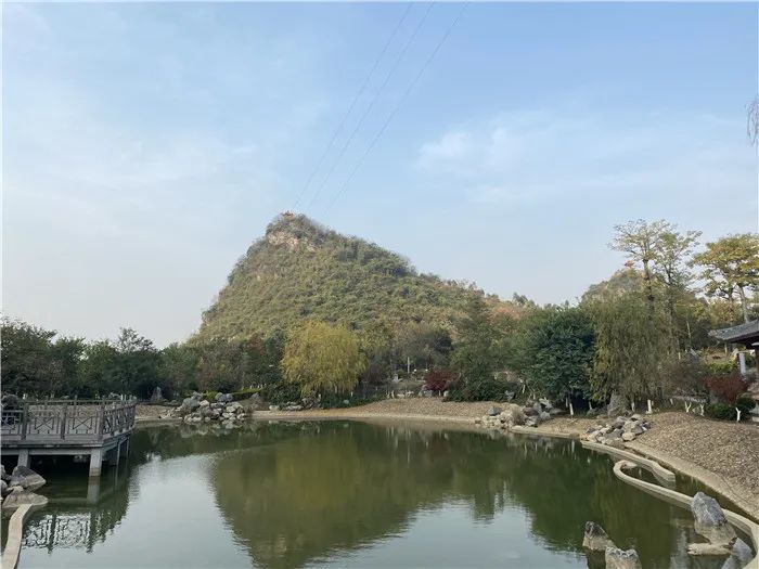 今日冬至,艳阳高照 度过了阴冷的雨天 贺州大钟山公园内重新焕发出