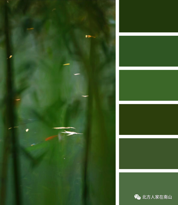 绿什么草成语_成语故事简笔画(3)