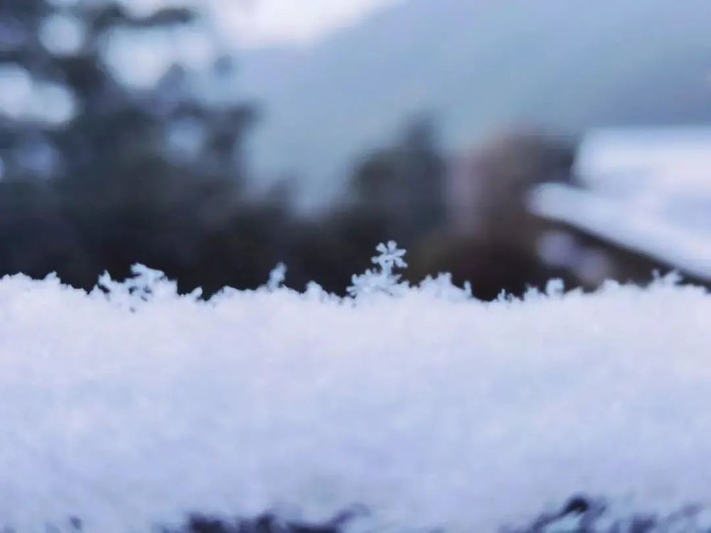 一场薄雪,不成敬意.