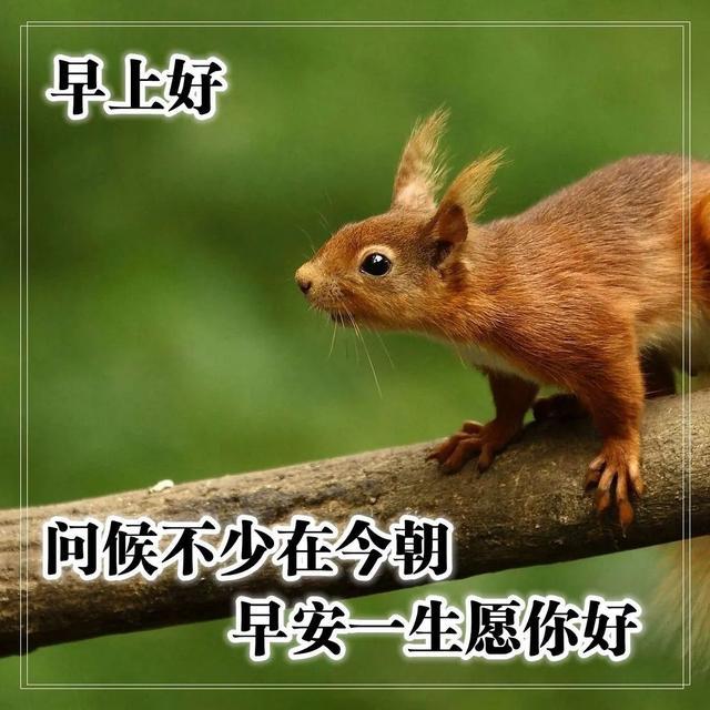 早晨激励人心的正能量语录,天气转凉早安问候唯美图片