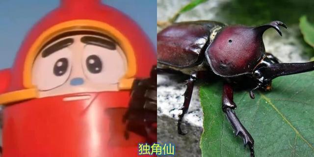 《铁甲小宝》b型机器人,鲨鱼辣椒与蟑螂恶霸的原型极其霸道