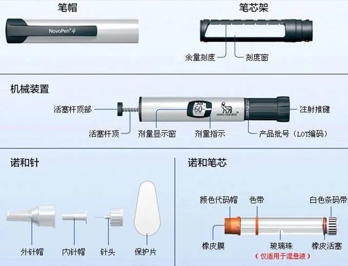 诺和笔结构图