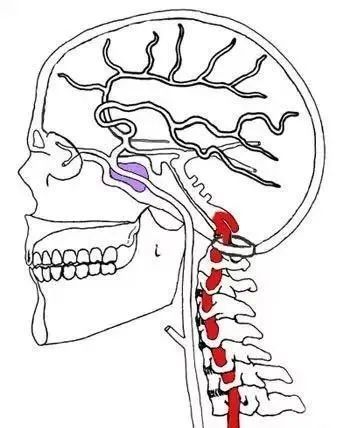 为什么颈椎病患者会头晕是压迫血管了么