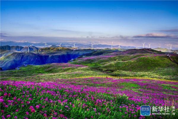 大韭菜坪属于赫章县阿西里西风景名胜区,主峰海拔2777米,是贵州西部第