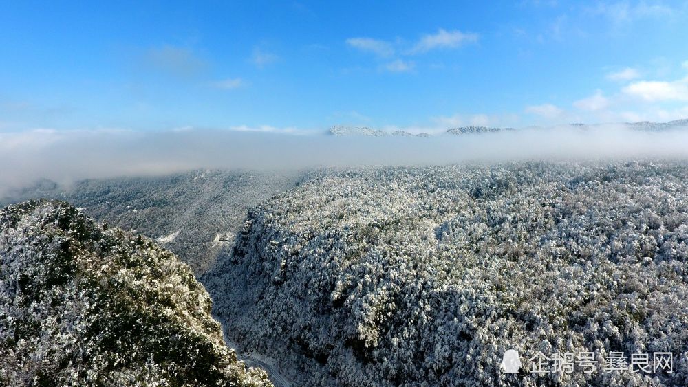 彝良小草坝雪景_腾讯新闻