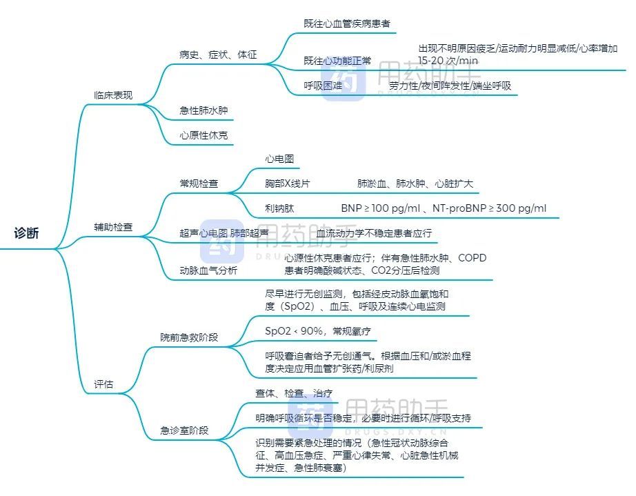 诊疗顾问之急性心衰思维导图