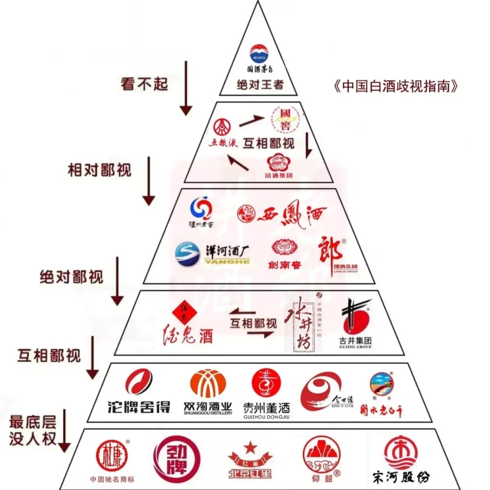 白酒品牌被划分了6个档次,茅台在金字塔顶,其他品牌这样排你认为合理