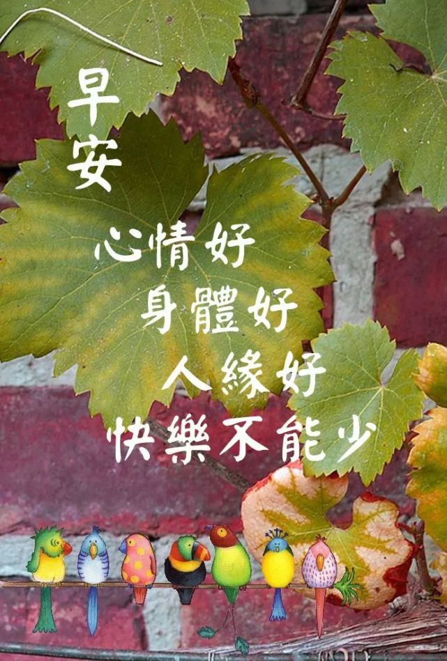 早上好温馨图片大全 祝福早上好的句子