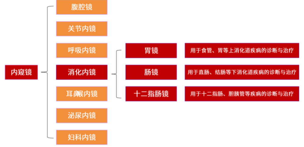 国产品牌能否在未来的消化内镜诊疗市场占一席之地