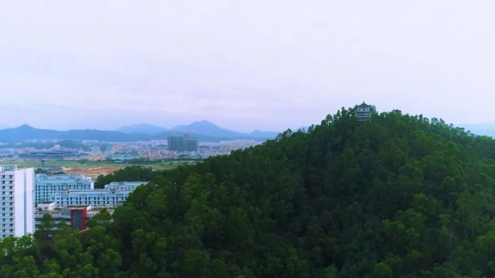 发现坪山 我在坪山|坪山区里的"天然氧吧" 燕子岭公园