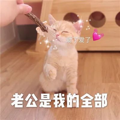 对老公撒娇卖萌的表情包