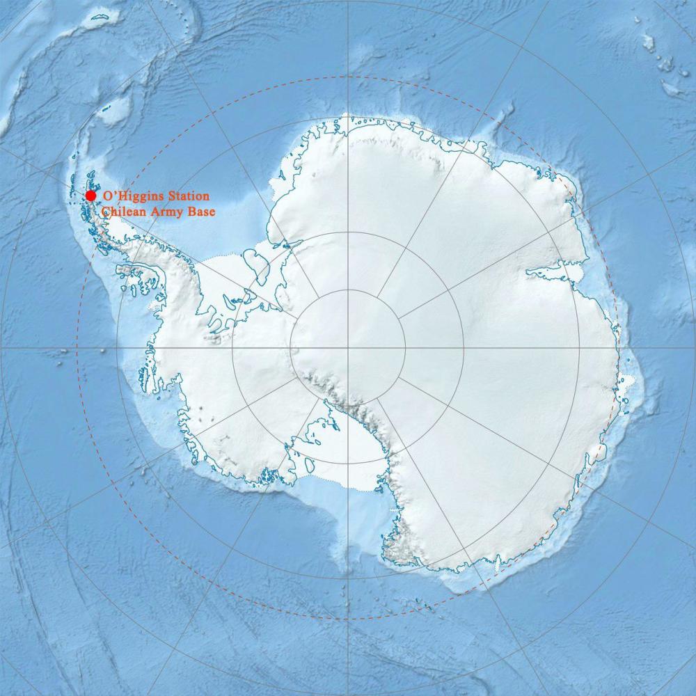 南极洲终未能幸免智利南极站发现首例新冠病毒已登上地球所有大陆