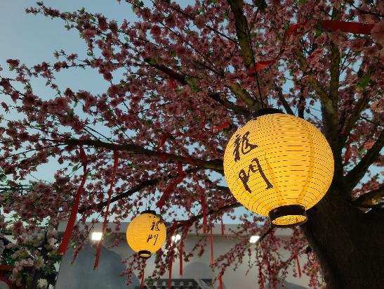 圖片