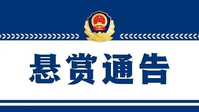 龙口人口2021_龙口粉丝(3)