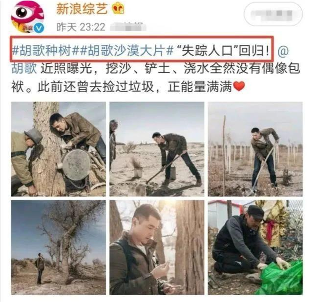 沙漠失踪人口_失踪人口图片