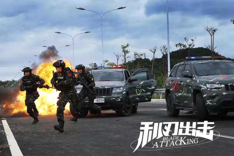 该剧主要讲述了杨烁饰演的武警某部突击队大队长刘闯带领"猎豹突击队"