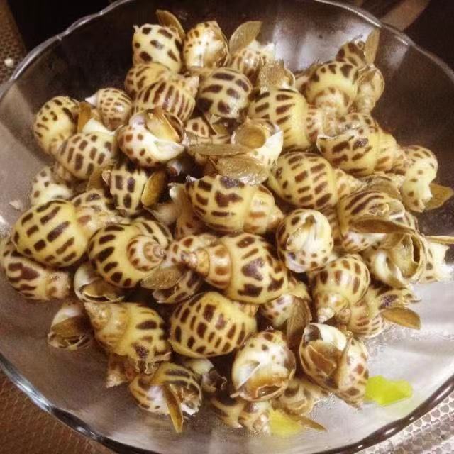 奶油香煮花螺