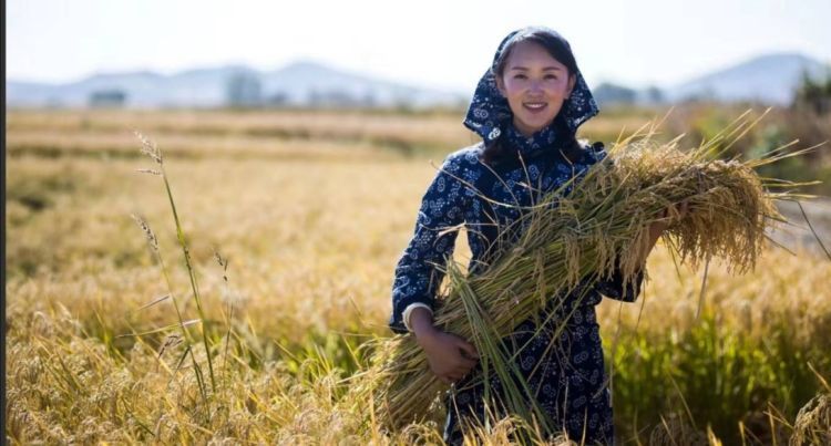 90后吉林"小农女"蔡雪,用智慧改变黑土地