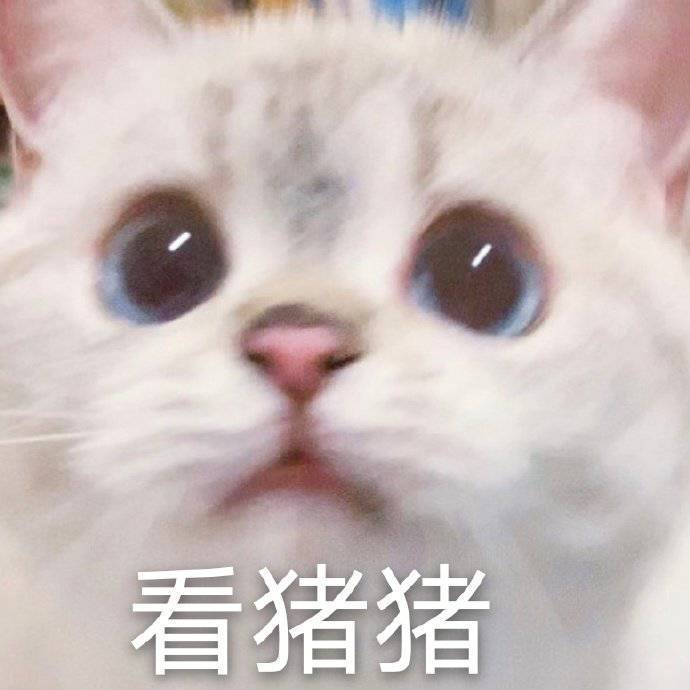 萌宠表情包跟所有烦恼说拜拜