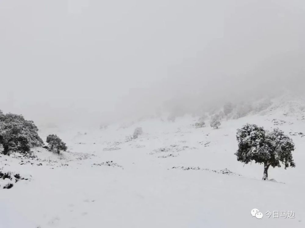 大竹堡乡仰天窝马边三河口镇金家沟村▽这些赏雪点值得你来恰逢下雪天