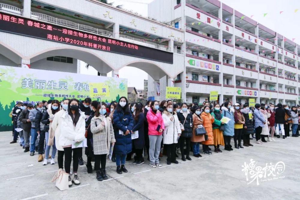 美丽生灵春城之邀迎接生物多样性大会昆明小主人在行动官渡区南站小学