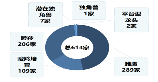 合肥高新区GDP2020年_169个国家高新区创造11万亿GDP(3)