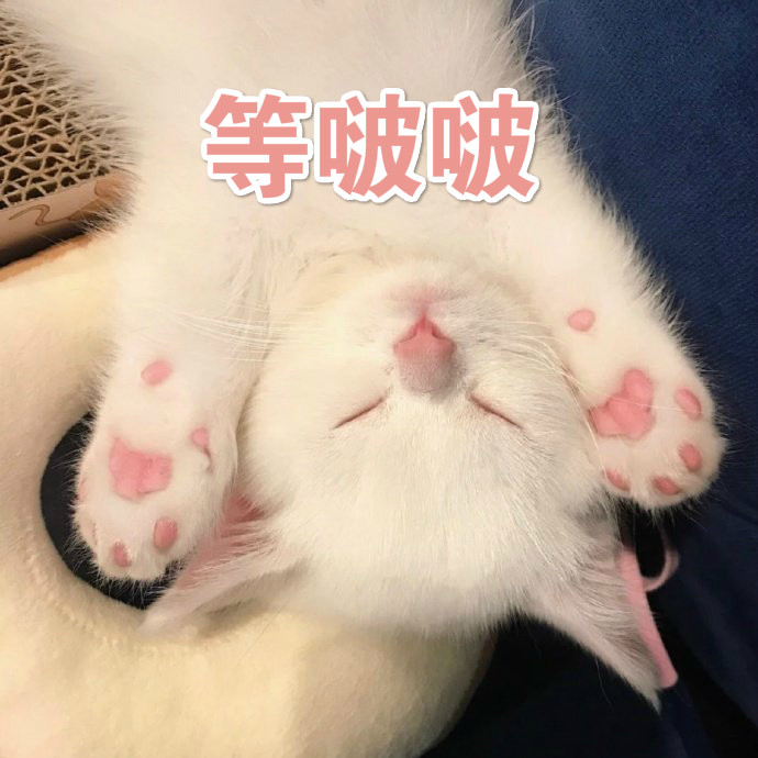 猫咪表情包小丑竟是我自己