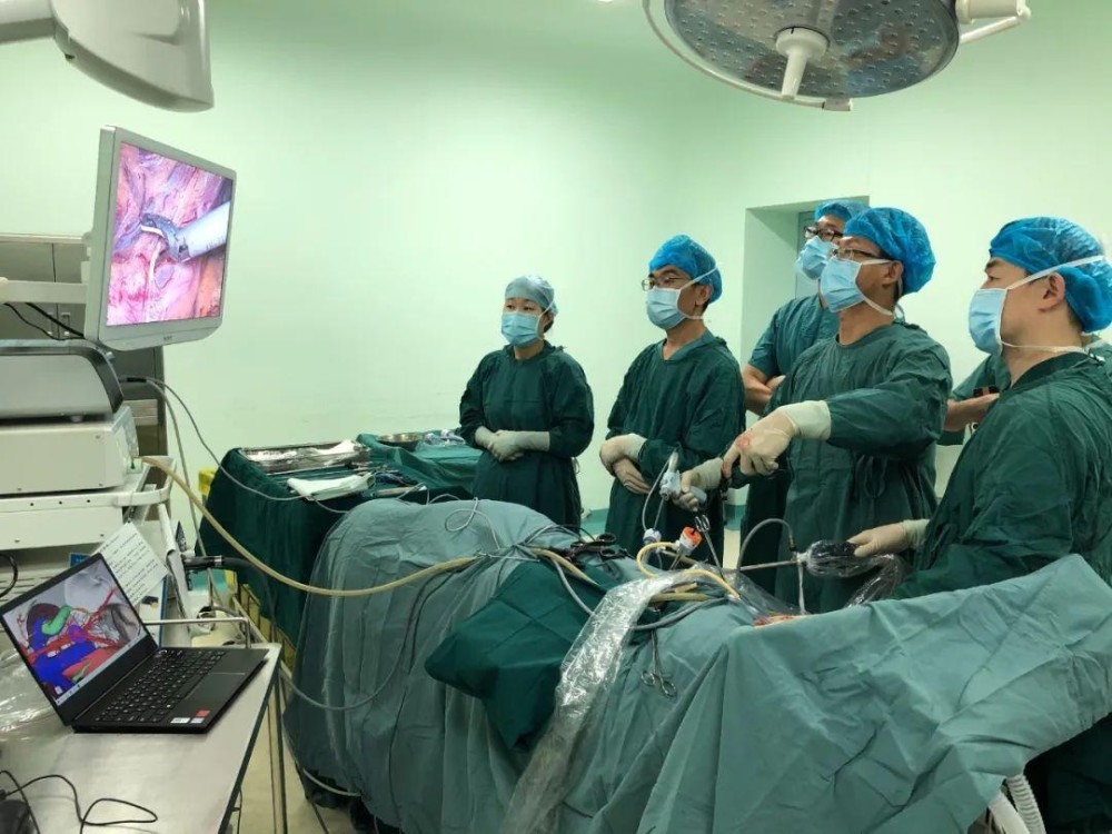 3d可视化技术首次助力北大医院密云院区泌尿外科手术