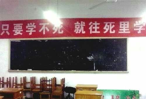 两只猫看图猜成语_看图猜成语(3)