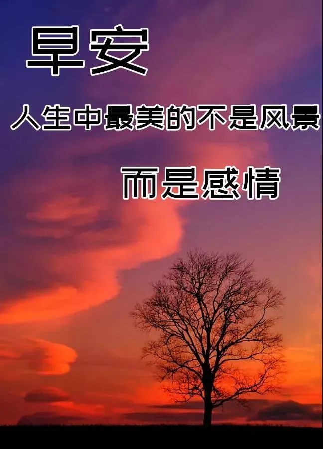 冬季最美早安图朋友圈早安正能量句子最美冬日风景早上好图片带祝福语