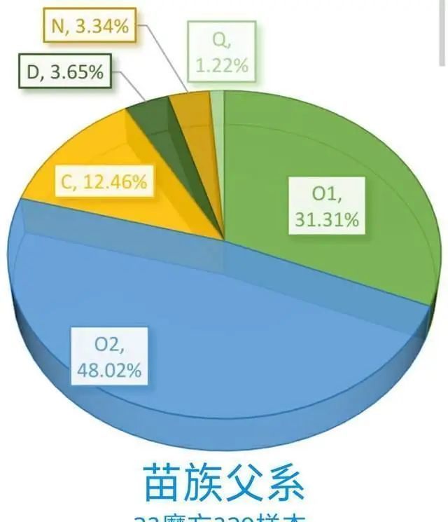 古羌族人口_古羌族