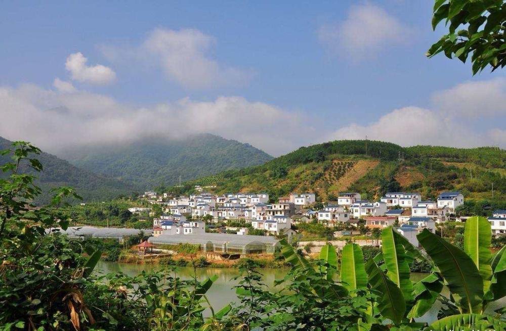 广西 西林人口_广西西林地图