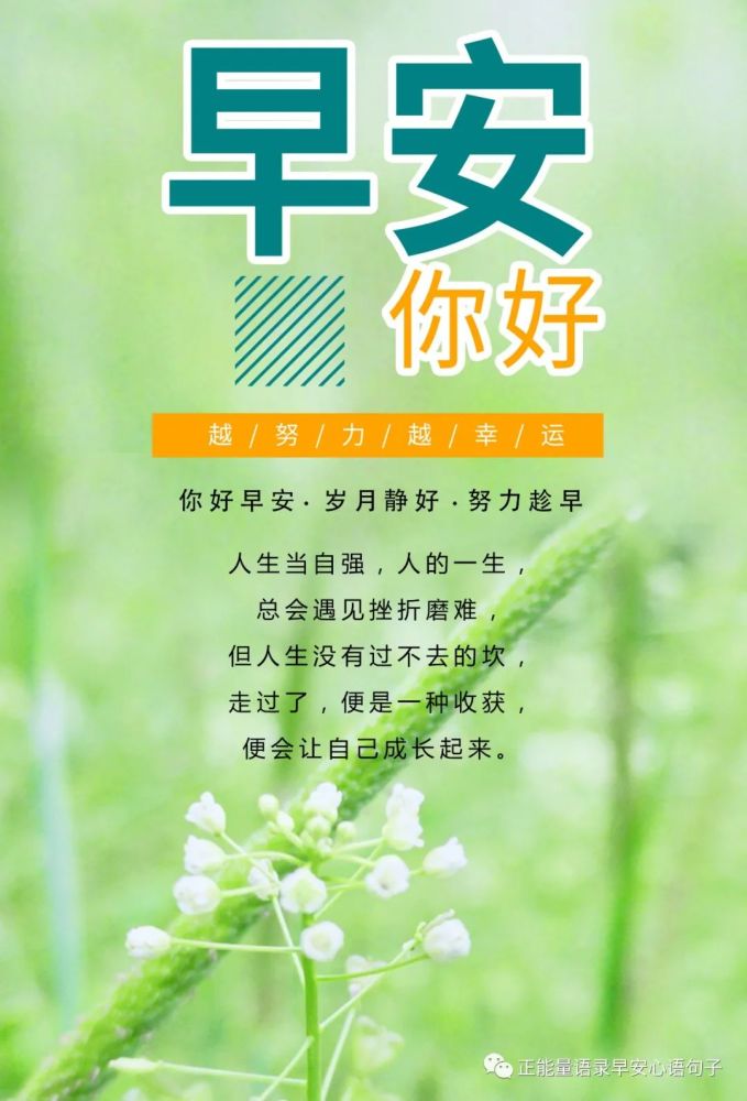 1月15日早安心语|一眼就心动的早安朋友圈文案,满满正