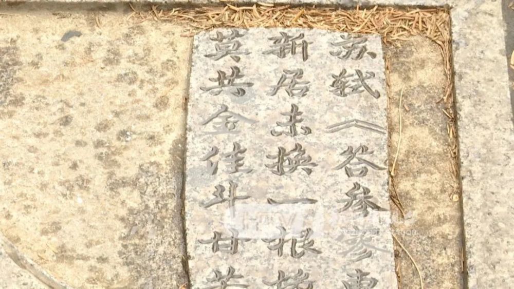 姓金总人口(2)