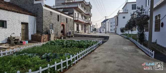 走进鄱阳县谢家滩镇胡家村,只见乡间道路绿树成荫,房前屋后干净整洁